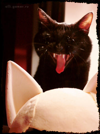 Batman: Arkham City - Say Meooow!